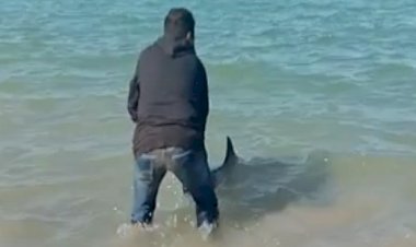 Liburan-Dipantai-Kabag-Ops-Polres-Sumba-Timur-Selamatkan-Lumba-lumba-Terdampar