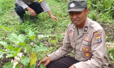 Polres-Sumba-Timur-Terus-Dukung-Ketahanan-Pangan-Melalui-Pendampingan-Masyarakat-Manfaatkan-Pekarangan