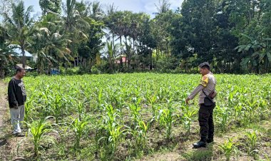 Dukung-Ketahanan-Pangan,-Bhabinkamtibmas-sebagai-Garda-Terdepan-Polri-Terus-Lakukan-Pendampingan-kepada-Petani