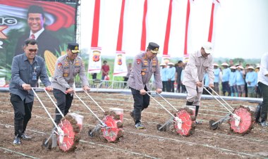 Permudah-Petani-Jual-Hasil-Panen,-Polda-Kalbar-dan-Pemkab-Bengkayang-Bangun-Pabrik-Jagung