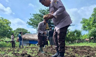 Tanam-Jagung-:-Sinergi-Polri,-Pemerintah-dan-Masyarakat-dalam-Mewujudkan-Ketahanan-Pangan-di-Umalulu
