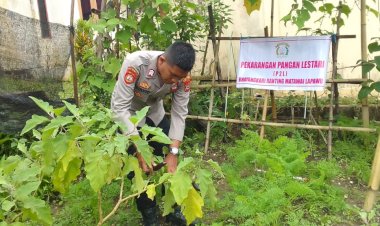 Anggota-Polsek-Matawai-Pawu-Laksanakan-Perawatan-Kebun-Pekarangan-Pangan-Lestari-sebagai-Upaya-Mendukung-Ketahanan-Pangan