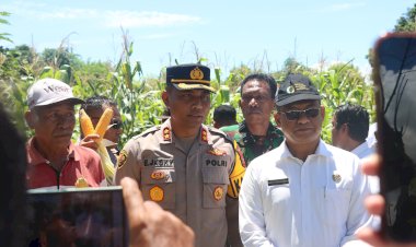 Panen-Raya-Bersama-Masyarakat:-Polres-Sumba-Timur-Dukung-Swasembada-Pangan-Nasional