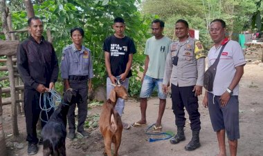 Sinergi-Masyarakat-dan-Aparat,-Kambing-Hilang-Ditemukan-dan-Diserahkan-Ke-Pemilik