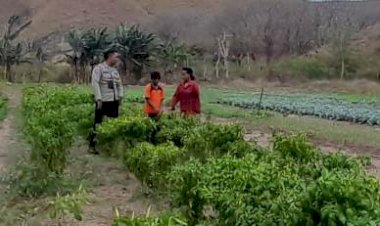 Bhabinkamtibmas-Dorong-Warga-Manfaatkan-Lahan-Kosong