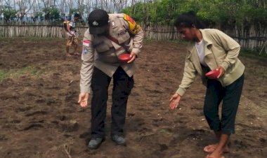 Bhabinkamtibmas-Desa-Wulla-Bersama-Warga-Tanam-Jagung-Dukung-Ketahanan-Pangan