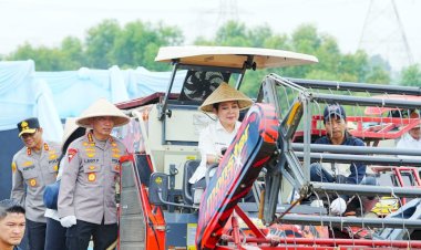 Kapolri-Ketua-Komisi-IV-Pimpin-Panen-Raya-Jagung-Serentak,-Wujud-Nyata-Dukung-Ketahanan-Pangan-Nasional