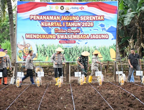 Dukung Asta Cita Presiden RI, Polda NTT Perluas Akselerasi Swasembada Pangan: Targetkan 10.000 Hektar Lahan dan Produktivitas 5 Ton per Hektar