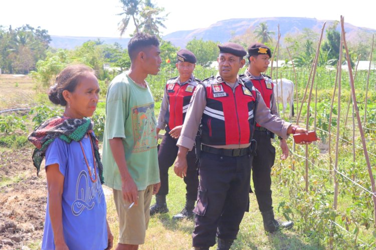 Patroli Dialogis, Satuan Samapta Polres Sumba Timur Pantau Dampak El Nino Bagi Petani.