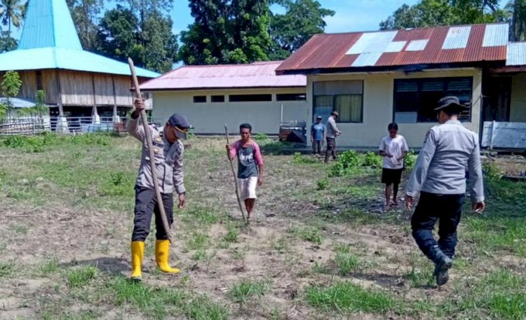 Dari Lahan Kosong Menjadi Ladang Pangan: Kapolsek Karera dan Anggota Tanam Jagung untuk Ketahanan Pangan