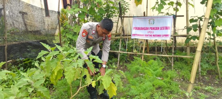 Anggota Polsek Matawai Pawu Laksanakan Perawatan Kebun Pekarangan Pangan Lestari sebagai Upaya Mendukung Ketahanan Pangan