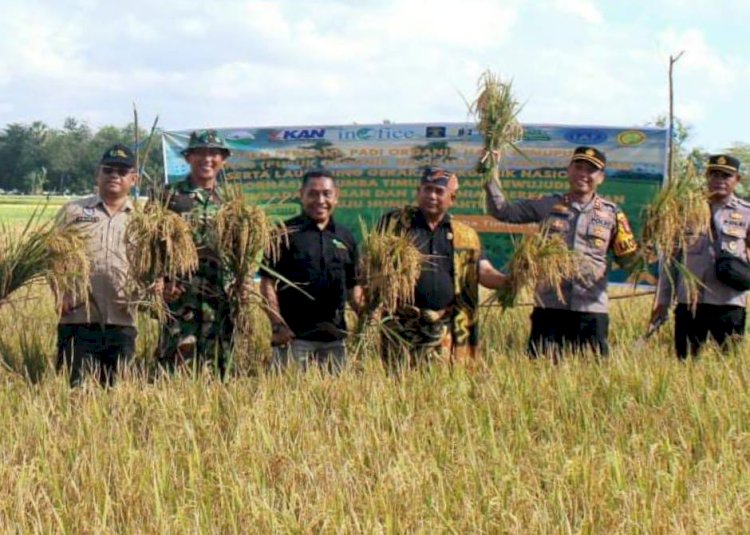 Kapolres Sumba Timur Hadiri Panen Perdana Padi Organik dan Launching GORNAS di Mauliru