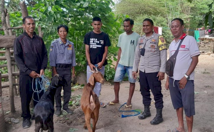 Sinergi Masyarakat dan Aparat, Kambing Hilang Ditemukan dan Diserahkan Ke Pemilik