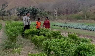 Bhabinkamtibmas Dorong Warga Manfaatkan Lahan Kosong