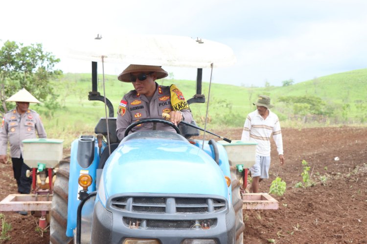 Tinjau Lahan Pertanian, Kapolres Sumba Timur Lakukan Tanam Jagung Dukung Ketahanan Pangan Nasional